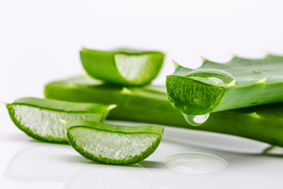 Benefits of Desert Aloe Vera