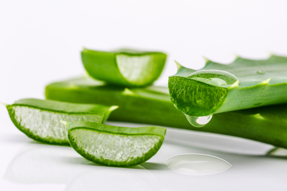 Benefits of Desert Aloe Vera  Sia Botanics