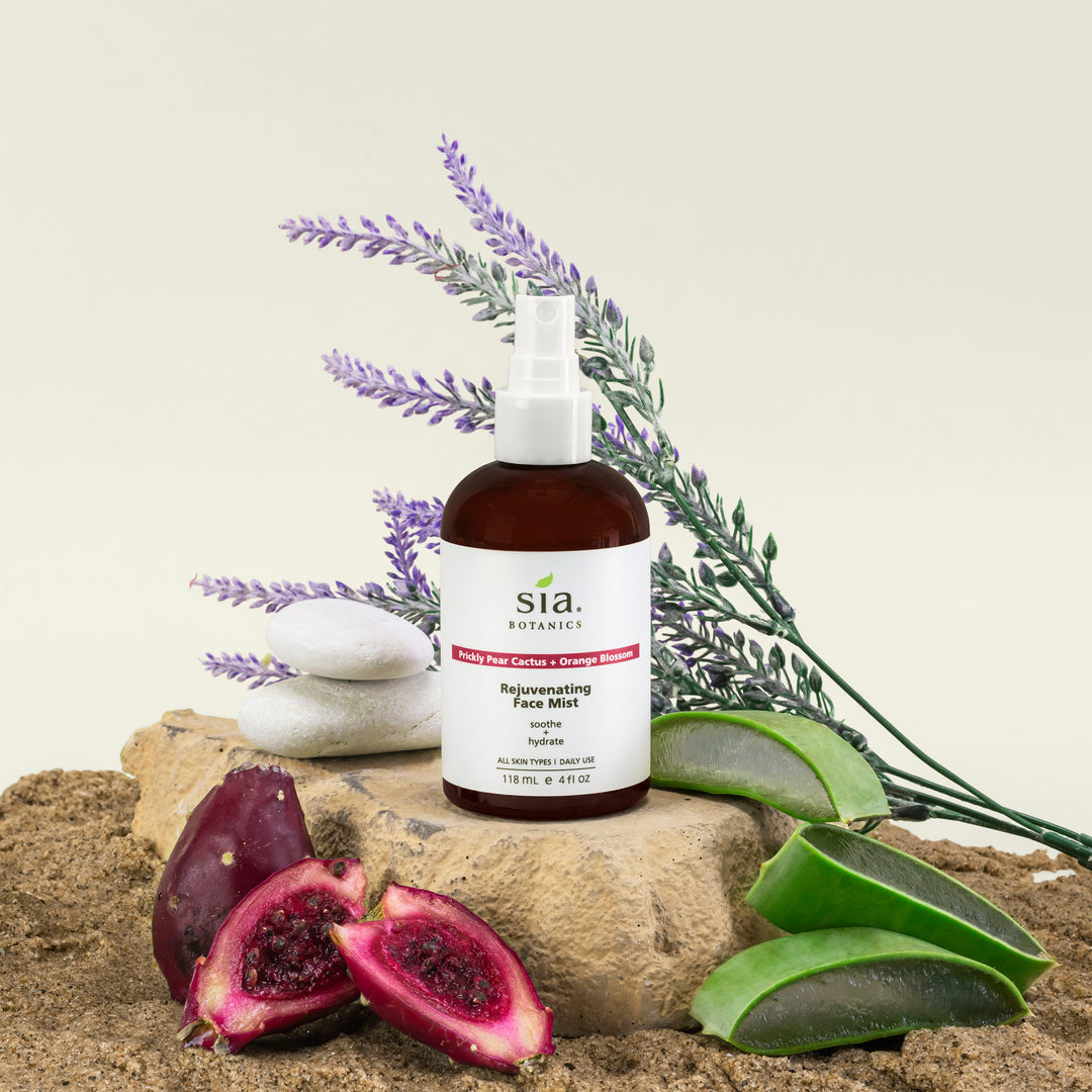 cactus prickly pear for face Rejuvenating Face Mist – Sia Botanics